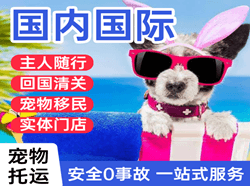 永兴机场空运国际宠物托运 【国